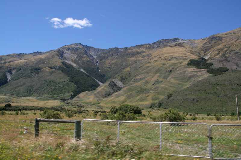 Nieuw-Zeeland 2011 - 1579